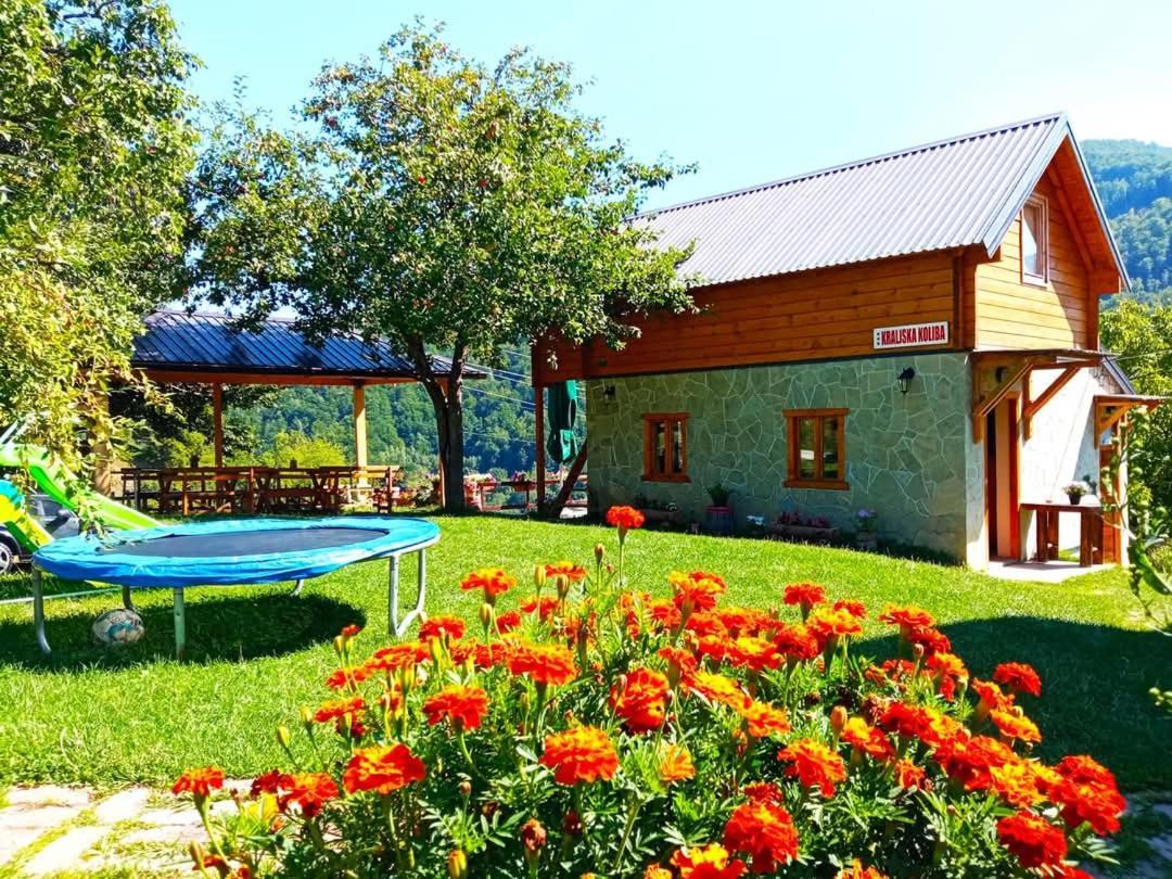 Kraljska Koliba - Kralje'S Cottage Andrijevica Екстер'єр фото