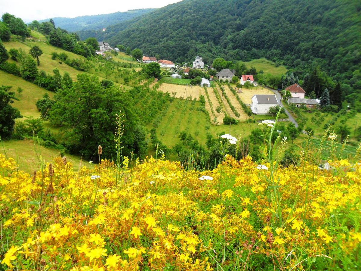 Kraljska Koliba - Kralje'S Cottage Andrijevica Екстер'єр фото