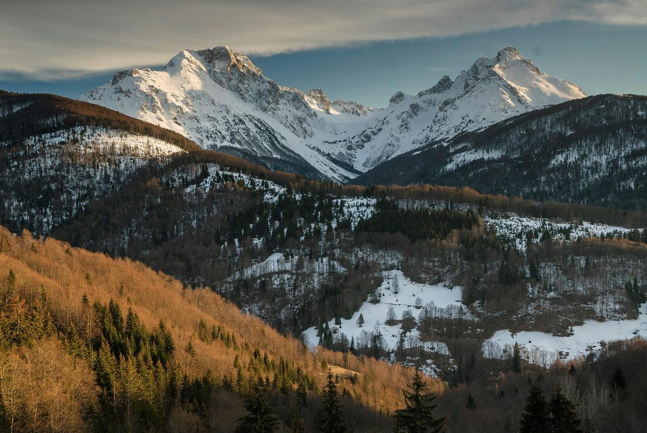 Kraljska Koliba - Kralje'S Cottage Andrijevica Екстер'єр фото