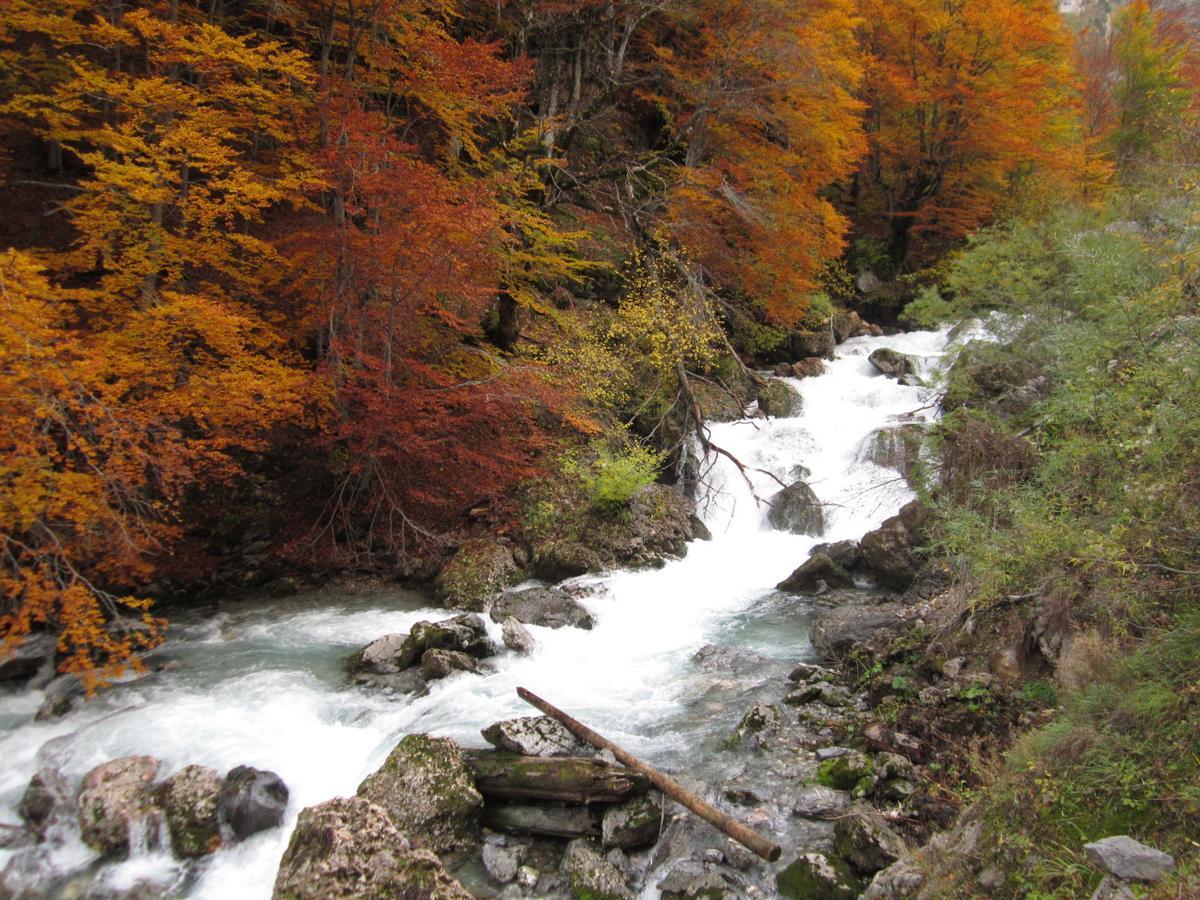 Kraljska Koliba - Kralje'S Cottage Andrijevica Екстер'єр фото