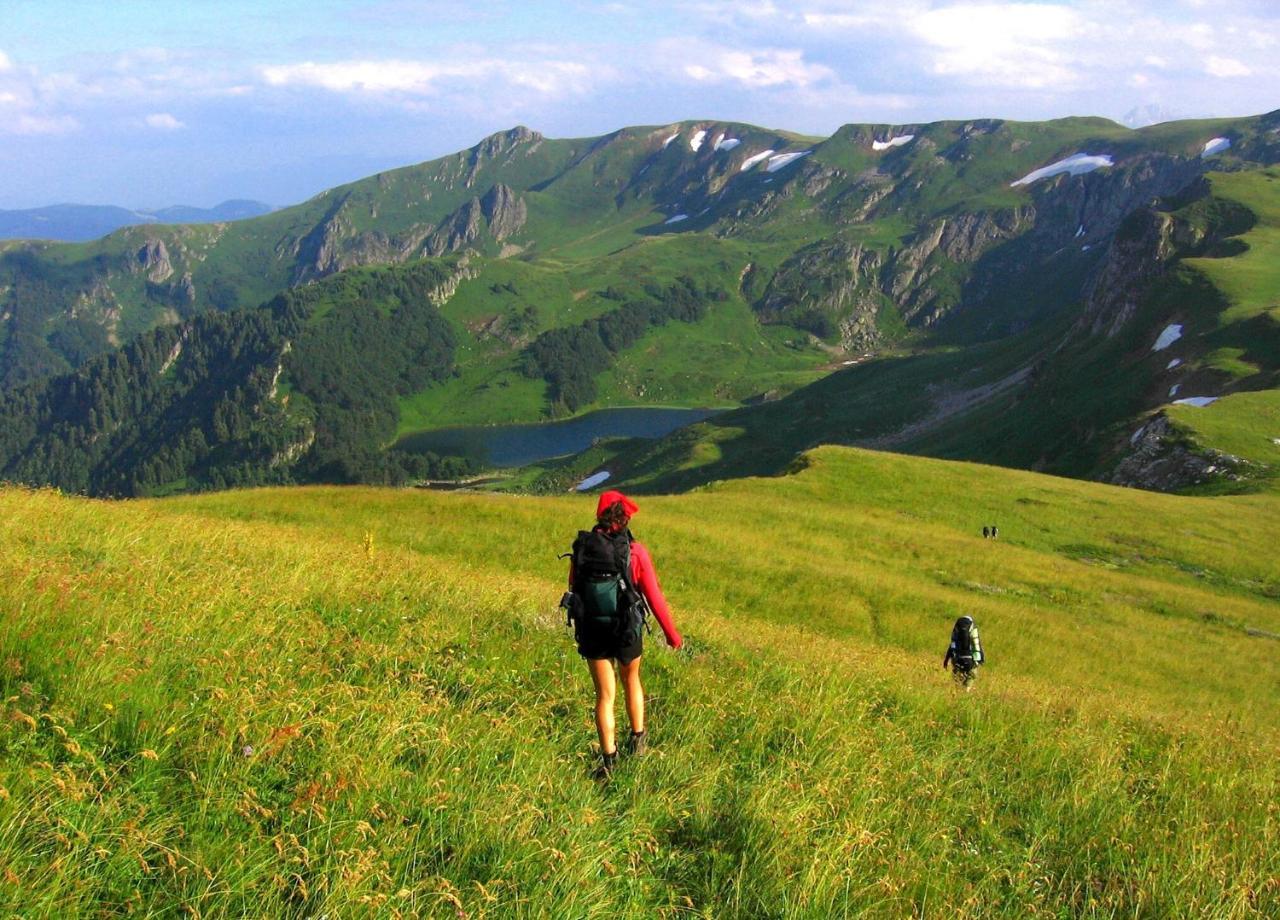 Kraljska Koliba - Kralje'S Cottage Andrijevica Екстер'єр фото
